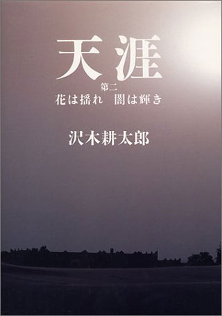 沢木耕太郎『天涯 第2 花は揺れ闇は輝き』表紙