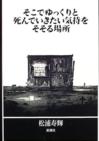 松浦寿輝『そこでゆっくりと死んでいきたい気持をそそる場所』表紙