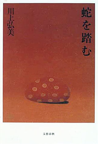 川上弘美『蛇を踏む』表紙