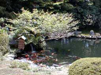 随心院