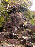 霧島神宮境内の岩くれ