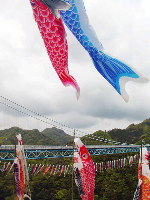 竜神大吊橋と鯉のぼり