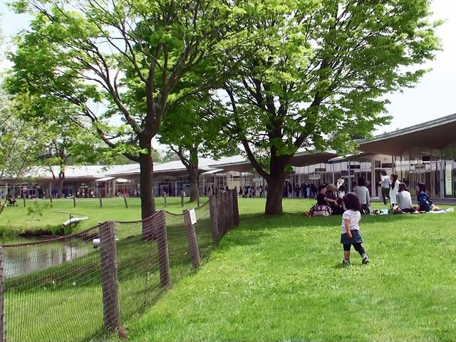 軽井沢・プリンスショッピングプラザ。芝生を散歩
