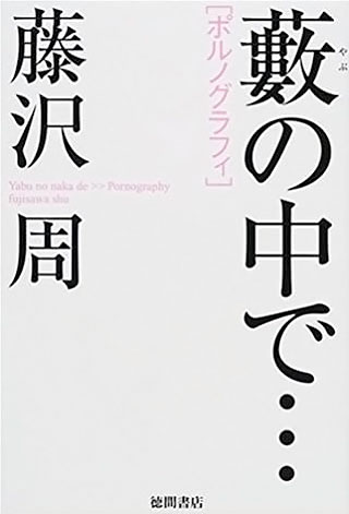 藤沢周『藪の中で…』表紙