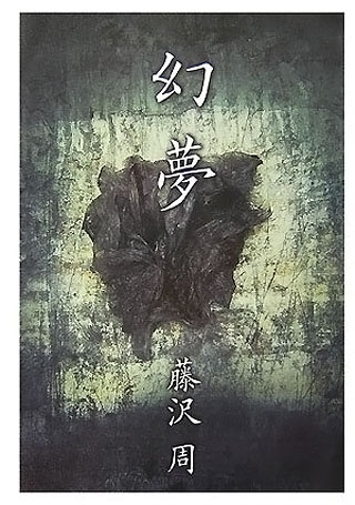 藤沢周『幻夢』表紙