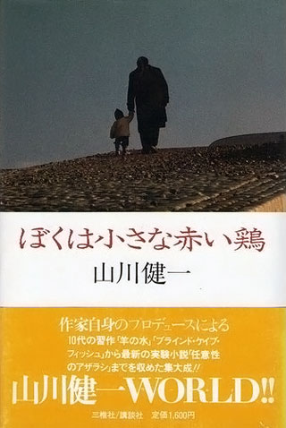 山川健一『ぼくは小さな赤い鶏』表紙