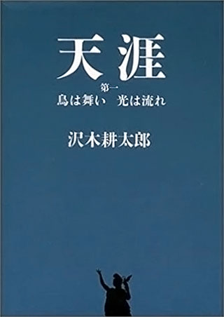 沢木耕太郎『天涯 第1　鳥は舞い光は流れ』表紙