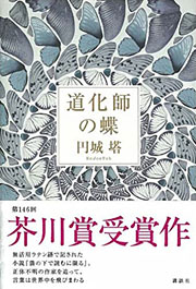 円城塔『道化師の蝶』表紙