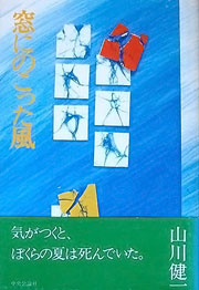 『窓にのこった風』表紙