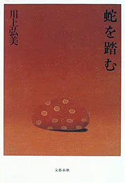 『蛇を踏む』表紙