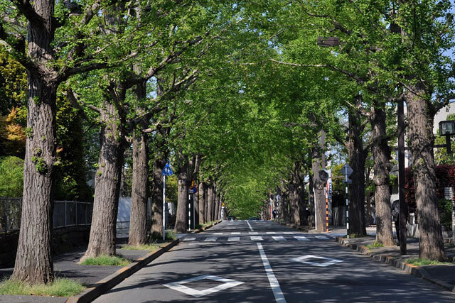 田園調布イメージ