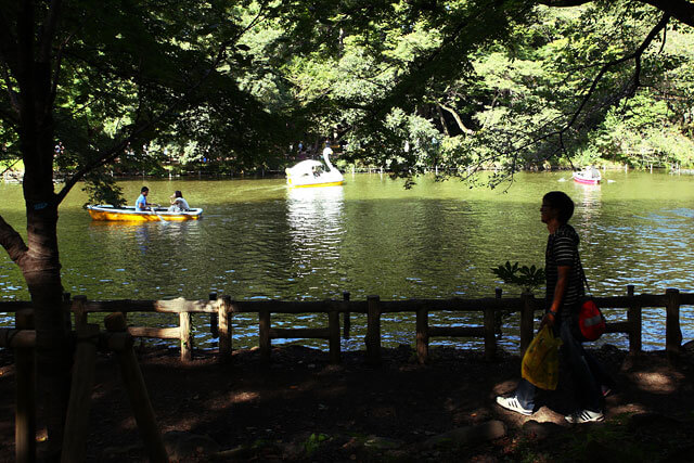 井の頭公園イメージ