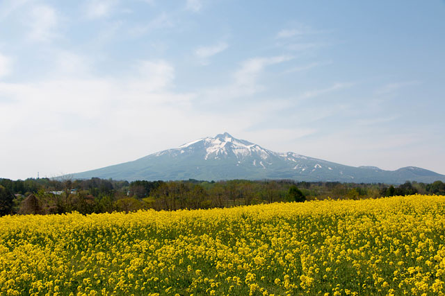 岩木山イメージ