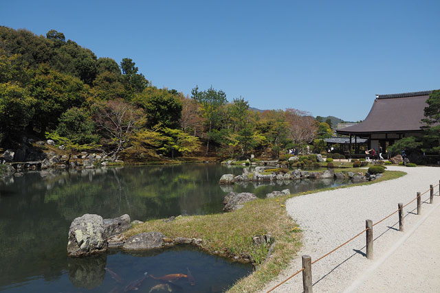 天龍寺イメージ