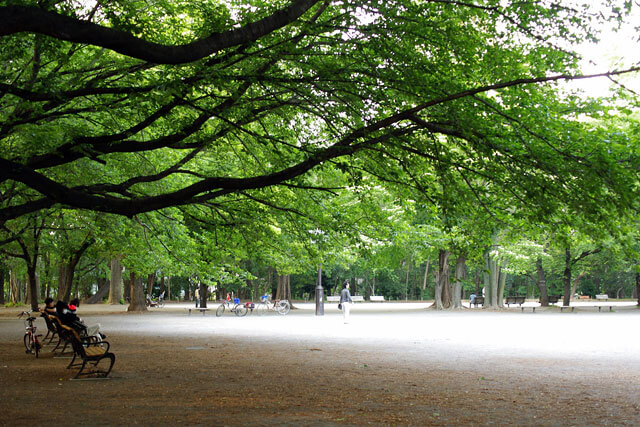 林試の森公園イメージ