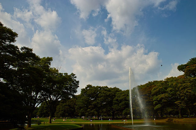 代々木公園イメージ