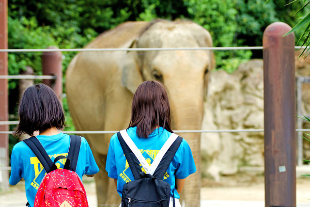 上野動物園イメージ