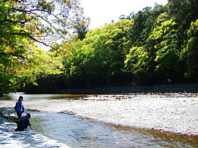 五十鈴川で心身浄化