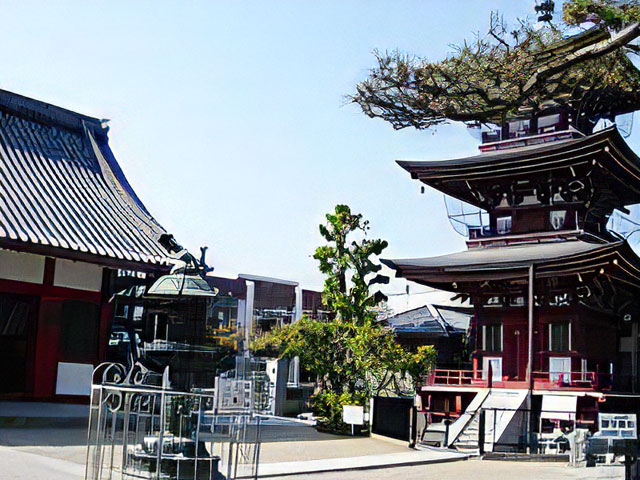 子安観音寺。不断桜は見てません