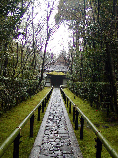 苔のなかを伸びる高桐院参道