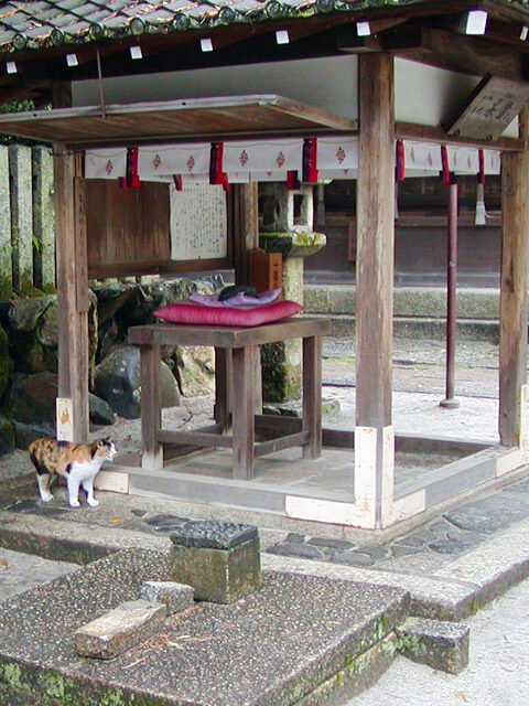 叩くと怒る石。猫配備