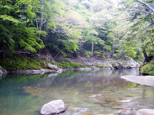 「籠場の滝」まで待ち切れず一度降りた夏井川渓谷