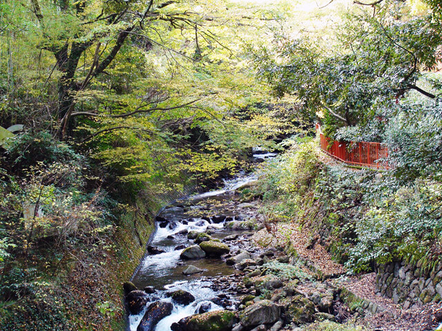 万葉公園、せせらぎ沿いの道